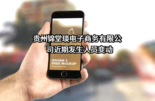贵州锦堂琰电子商务有限公司