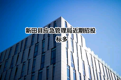 新田县应急管理局近期招投标项目多