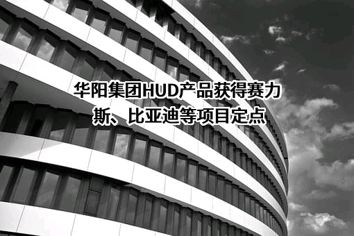 惠州市华阳集团股份有限公司