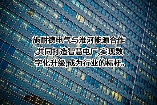 淮河能源（集团）股份有限公司