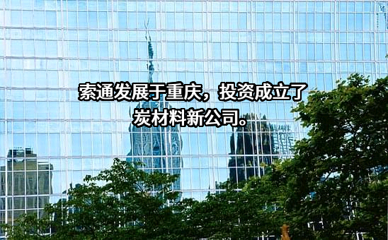 索通发展股份有限公司