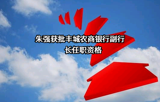 江西丰城农村商业银行股份有限公司
