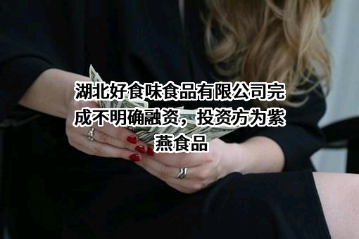 湖北好食味食品有限公司