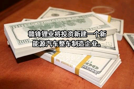 江西赣锋锂业股份有限公司