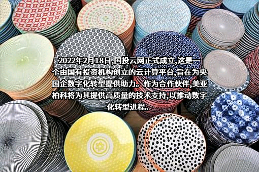 厦门市美亚柏科信息股份有限公司