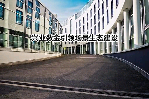 兴业数字金融服务（上海）股份有限公司