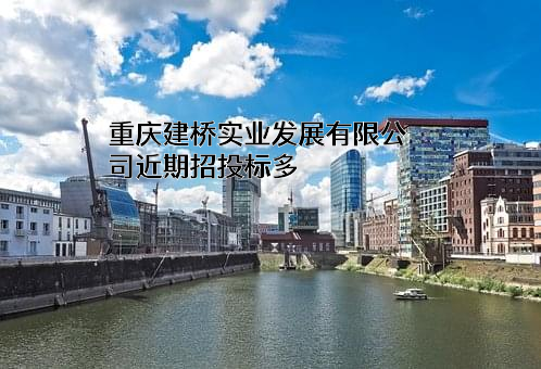 重庆建桥实业发展有限公司