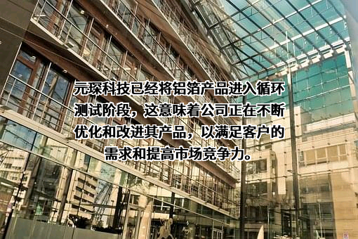 安徽元琛环保科技股份有限公司