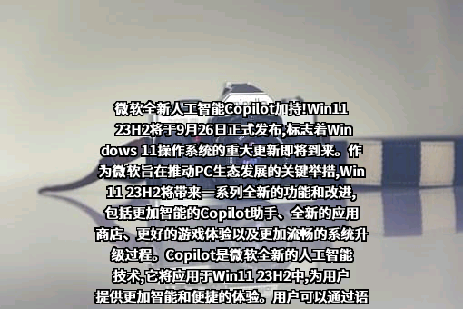 微软（中国）有限公司