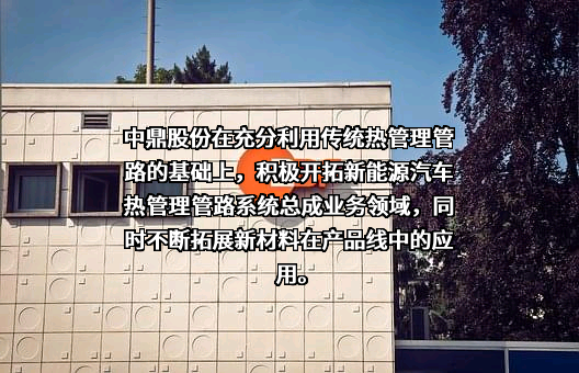安徽中鼎密封件股份有限公司