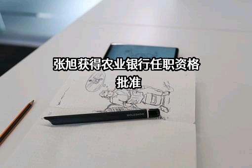中国农业银行股份有限公司