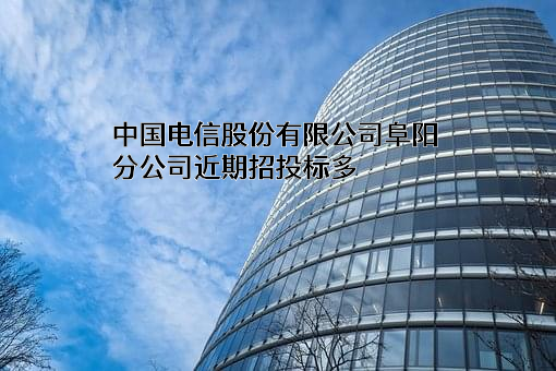 中国电信股份有限公司阜阳分公司