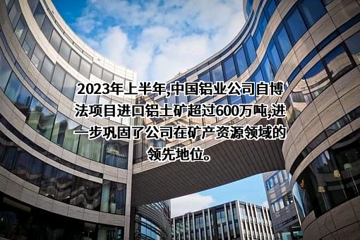 中国铝业股份有限公司