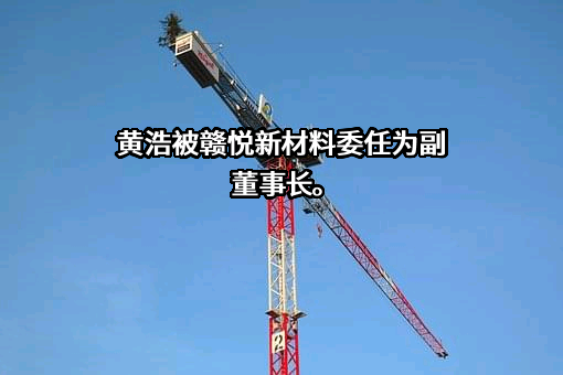 江西赣悦新材料有限公司