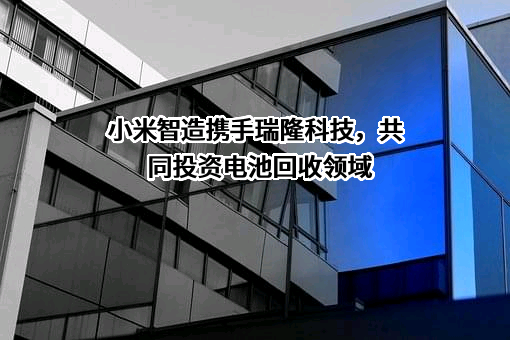 全南县瑞隆科技有限公司