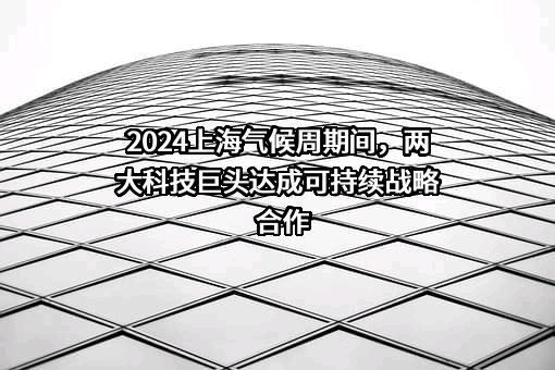 思科（中国）有限公司