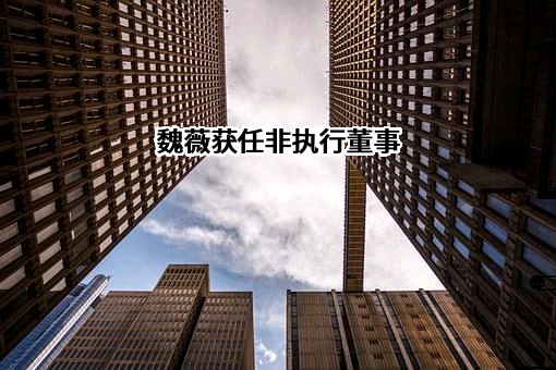 纷美包装有限公司