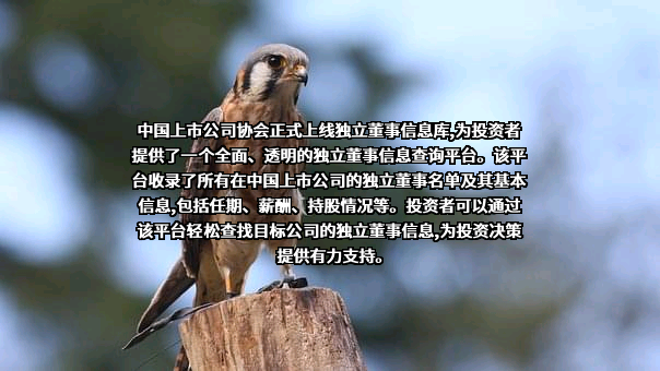 中国上市公司协会