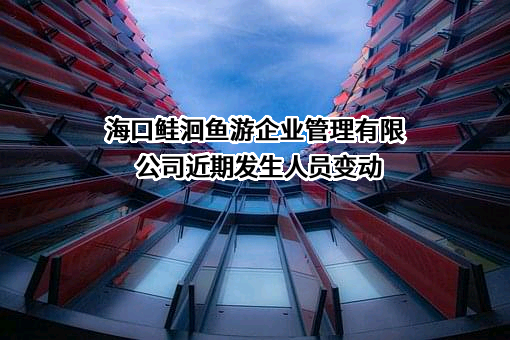 海口鲑洄鱼游企业管理有限公司