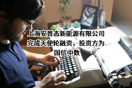 上海安普态新能源有限公司