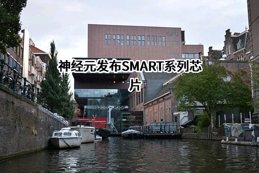 神经元信息技术（成都）有限公司