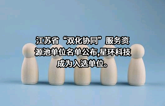 星环信息科技(上海)股份有限公司