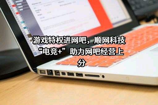 杭州顺网科技股份有限公司