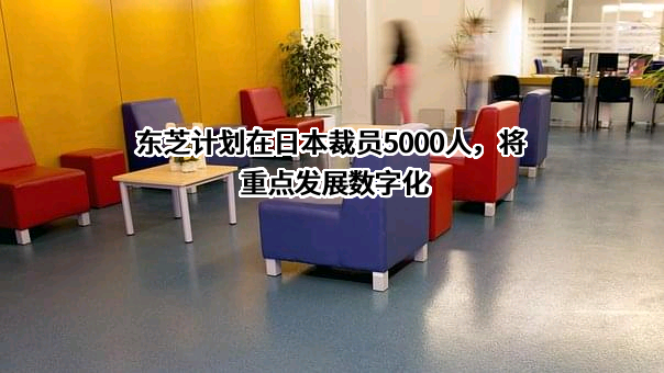 东芝（中国）有限公司