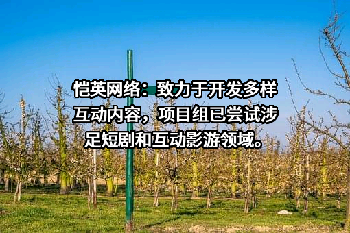 恺英网络股份有限公司