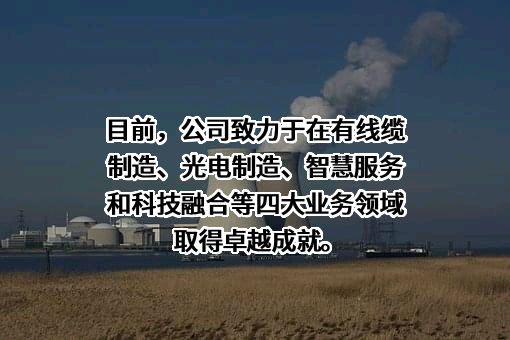 深圳市特发信息股份有限公司