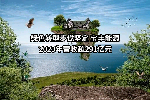 宁夏宝丰能源集团股份有限公司