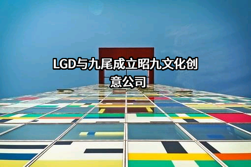 乐金显示光电科技（中国）有限公司