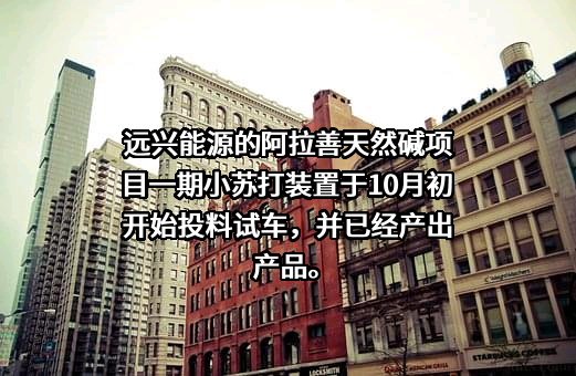 内蒙古远兴能源股份有限公司