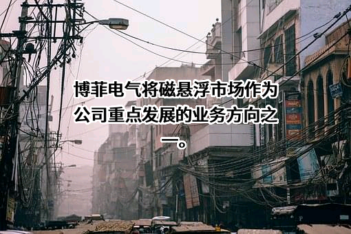 浙江博菲电气股份有限公司