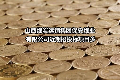 山西煤炭运销集团保安煤业有限公司