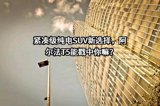 壳牌（中国）有限公司