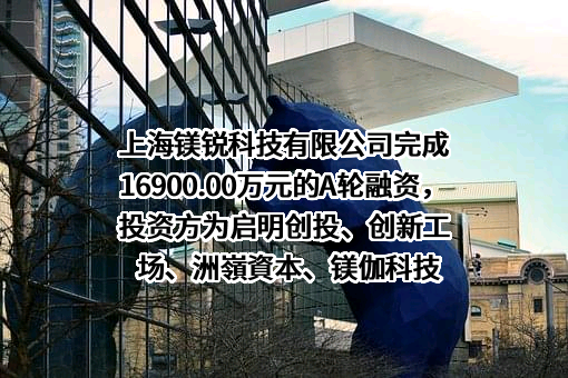 上海镁锐科技有限公司