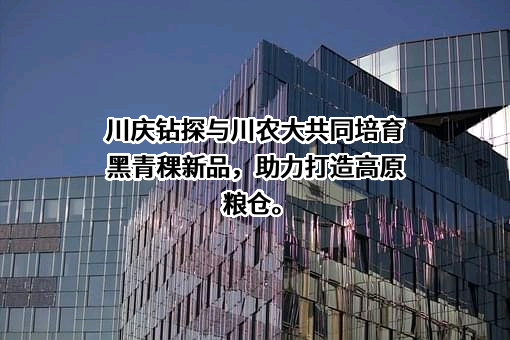 中国石油集团川庆钻探工程有限公司