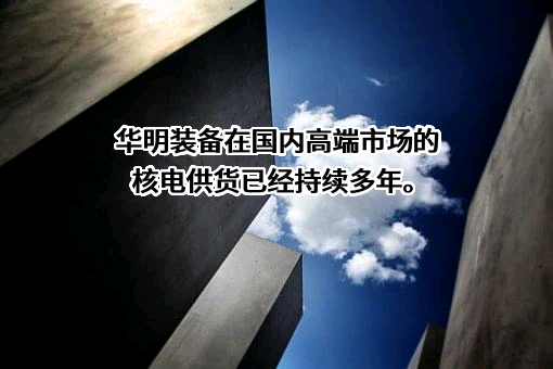 华明电力装备股份有限公司