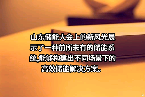 新风光电子科技股份有限公司