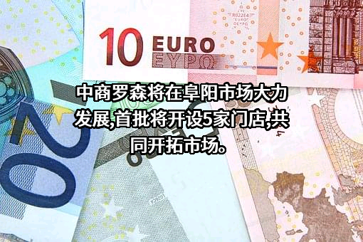 安徽省阜阳商厦股份有限公司
