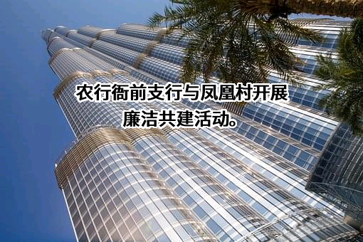 山东省凤凰村航空服务有限公司