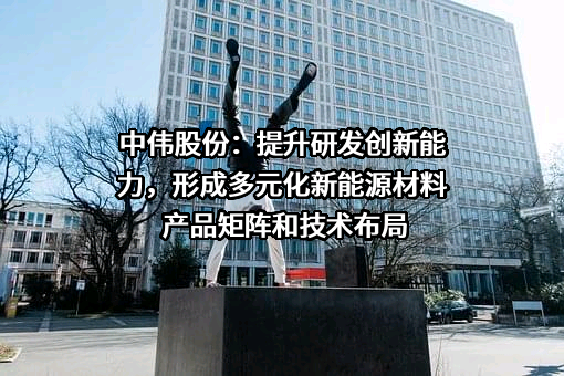 中伟新材料股份有限公司