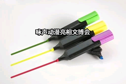 广东咏声动漫股份有限公司