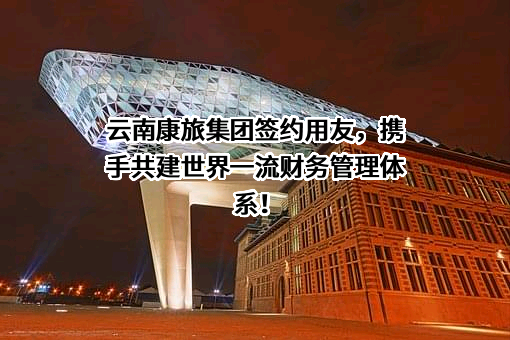 用友网络科技股份有限公司