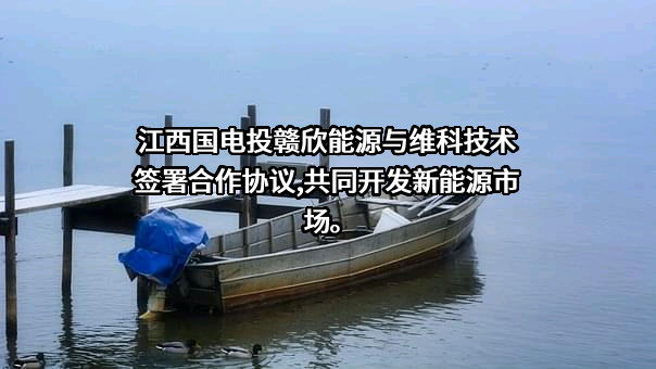 江西国电投赣欣能源开发有限公司