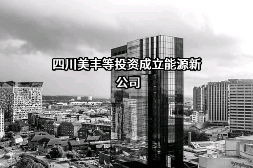 四川美丰化工股份有限公司