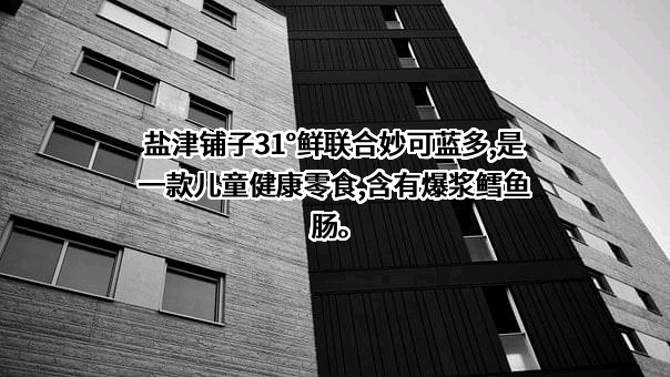 盐津铺子食品股份有限公司