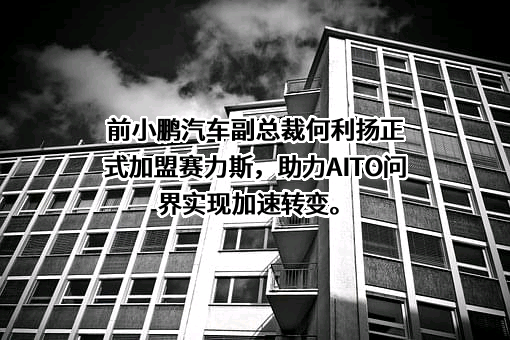 上海赛力斯汽车销售服务有限公司