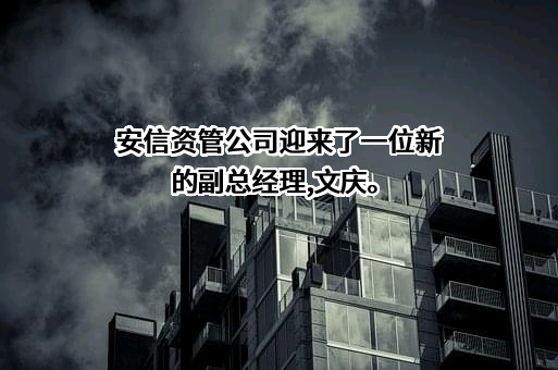 安信证券资产管理有限公司